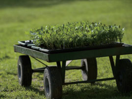 ɽSЙC(j)NֲI(yng)B(yng)a(chn)Ʒf(shu)